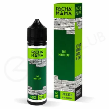 The Mint Leaf – Honeydew, Berry, Kiwi & Mint pacha mama